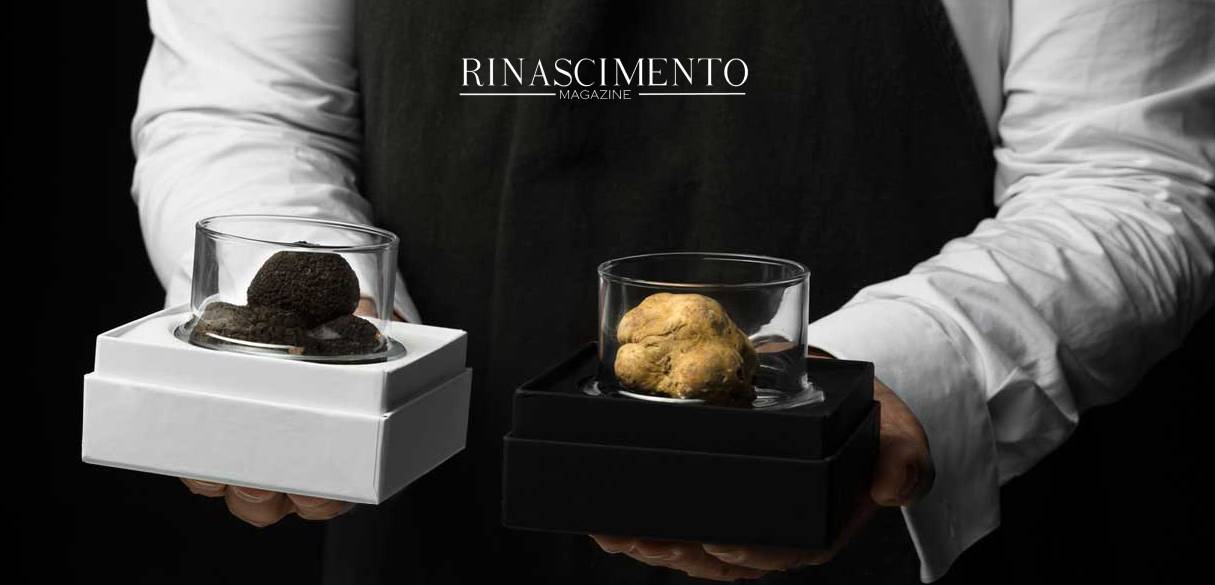 Daniele Violoni, The Lord of Truffle