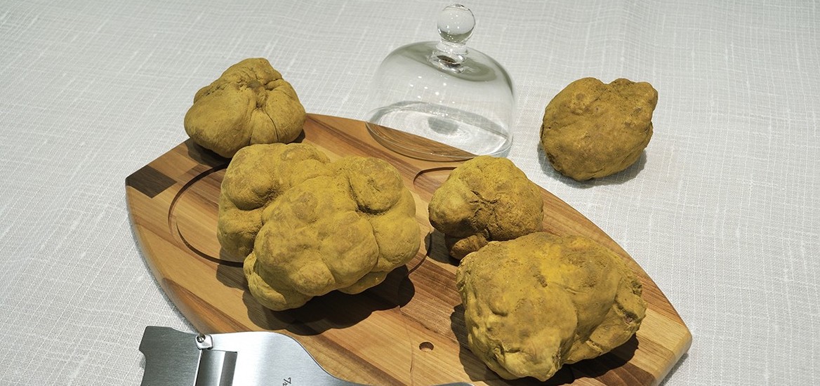 Il Tartufo Bianco d’Alba è in veste Design