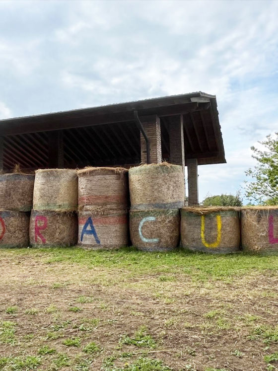 FloraCult 2025: la natura conquista Roma